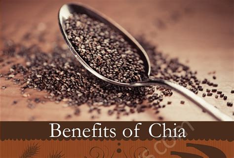 Chia Seeds Side Effects - HRF