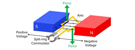 The Motor Effect Worksheets, Questions and Revision | MME