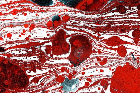 Red and White Abstract Art · Free Stock Photo