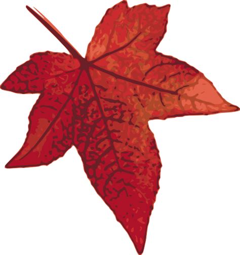 Red Maple Leaf Clip Art at Clker.com - vector clip art online, royalty ...