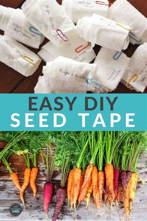 Homemade Seed Tape {How to Make Seed Tape} | Sustainable Cooks