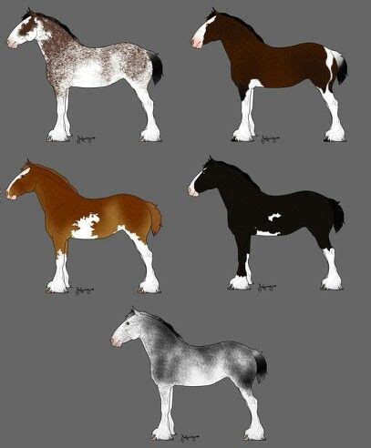 Oooo I love these colors Cute Horses, Pretty Horses, Horse Love ...