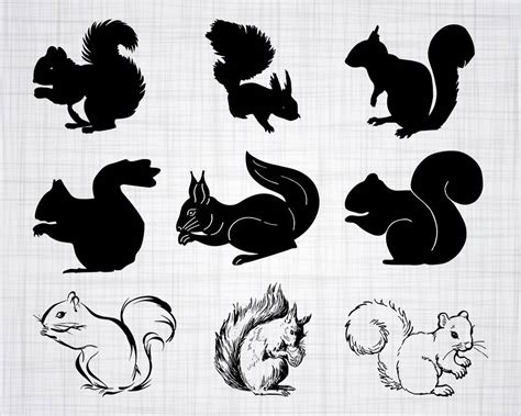 Squirrel Silhouette Svg Free - 197+ SVG File Cut Cricut