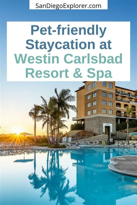 Perfect Pet-friendly Staycation at the Westin Carlsbad Resort & Spa