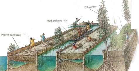 Chinampas, The Ingenious Floating Gardens Of The Ancient Aztecs