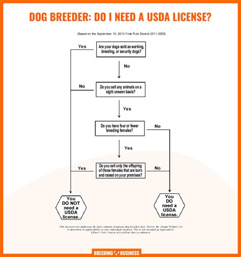 How To Become A Licensed Dog Breeder - Numberimprovement23