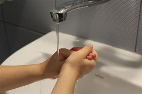 Handwashing experiment convinces second-graders to wash hands more, cuts school absences