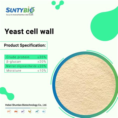 Yeast Cell Wall│cell wall│cell wall │yeast cell wall is made up of