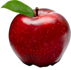 Apple Fruit File Transparent HQ PNG Download | FreePNGImg