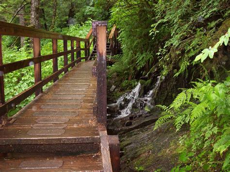 Have Book, Will Travel: Deer Mountain Trail, Ketchikan, Alaska