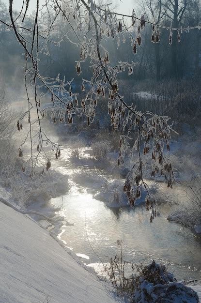 Premium Photo | Frost on the trees near the river frosty morning winter background