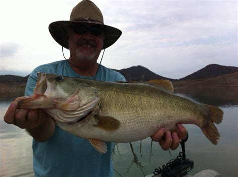 Lake Baccarac Lodge Fishing Report - International Bass Fishing - Bass Fishing Forums