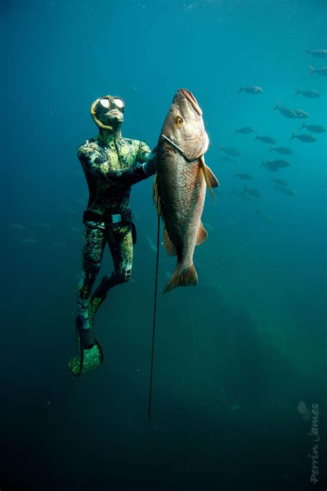 🔥 Tuna Wallpapers on WallpaperSafari | Spearfishing, Fish wallpaper, Fishing pictures