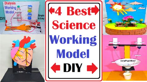 4 best science project working models for science exhibition – heart – kidney – dialysis ...