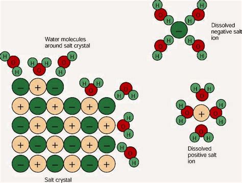 Salt And Water Molecules