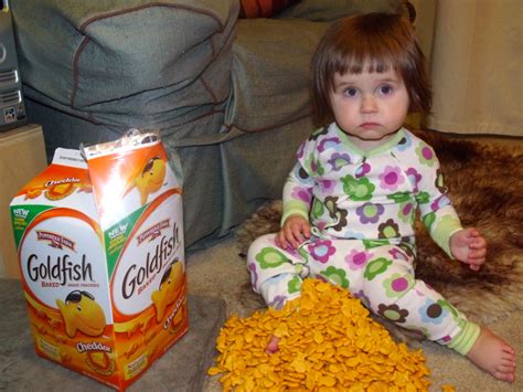 26 Signs Your Addiction To Goldfish Crackers Has Gotten Out Of Control