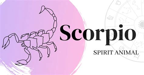 Scorpio Spirit Animal | 5 Spirit Animals Right For Scorpio - Being Awakened