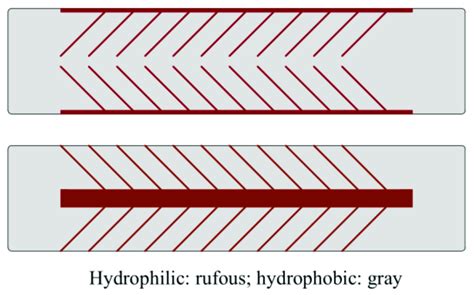 Schematic detailing hydrophobic/hydrophilic patterned surfaces [76]. | Download Scientific Diagram