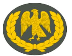 Nigerian Army Ranks And Symbols – Infoguidenigeria