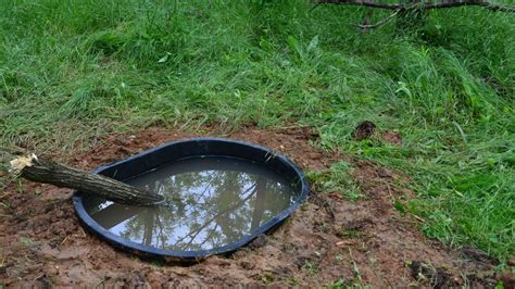 Waterholes for Deer | Creating a Watering Hole for Deer - YouTube