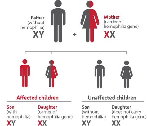 hemophilia diagram - Google Search | Med-Surg | Pinterest | Search and ...