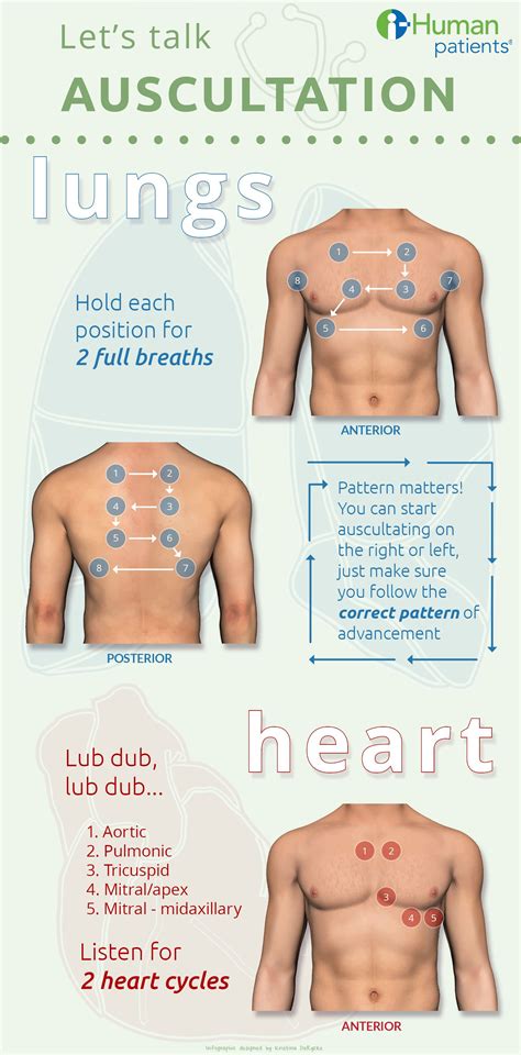 i-Human Patients | Auscultation of ... | Medical education, Nursing ...