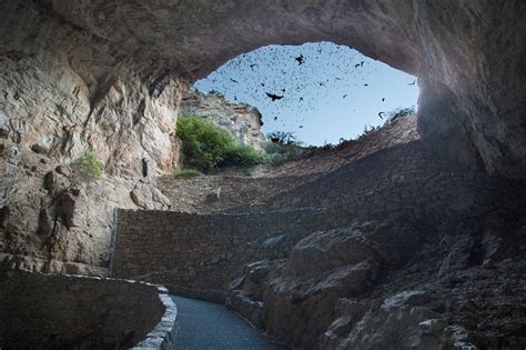 Bats in Caves (U.S. National Park Service)