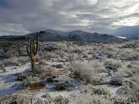 Snow in Tucson - My Tucson Wedding