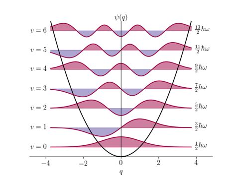 The harmonic oscillator wavefunctions