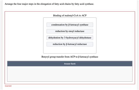 Solved Arrange the four major steps in the elongation of | Chegg.com