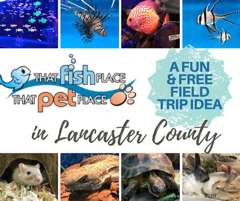 That Fish Place That Pet Place: A Lancaster County Field Trip Idea ...