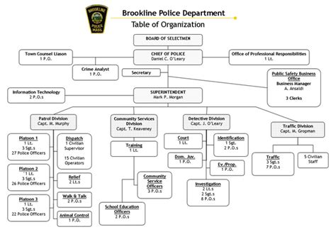 Boston Police Hierarchy Hierarchical Structures Charts | Images and Photos finder