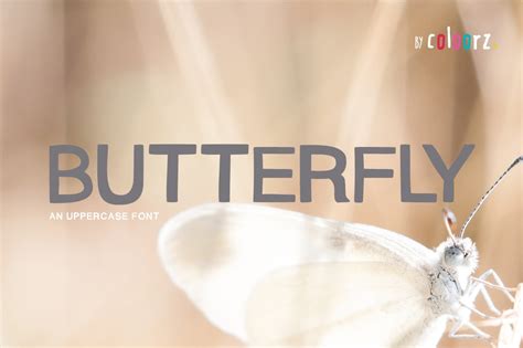 Butterfly Font (119249) | Regular | Font Bundles