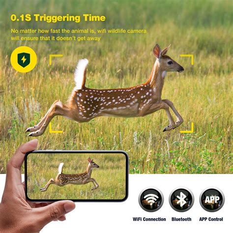 Trail Camera Guide – Campark - Focus on Cameras