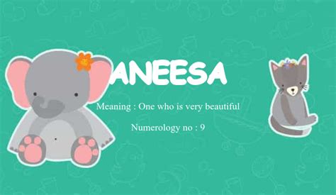 Aneesa Name Meaning