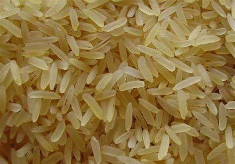 Organic Parboiled Basmati Rice Exporters in Karachi and Lahore