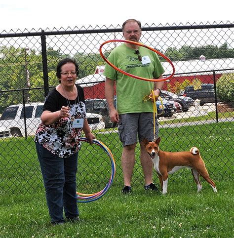 Basenji Rescue and Transport Blog: 2016 Basenji Fun Day