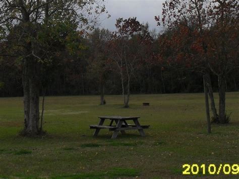 Frog City RV Park - 5 Photos, 1 Reviews - Duson, LA - RoverPass