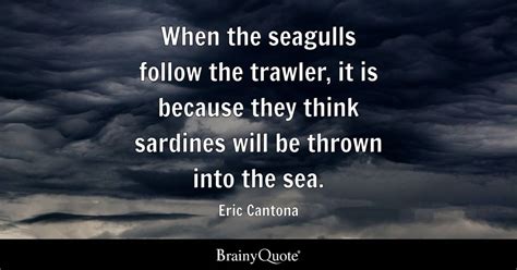 Eric Cantona - When the seagulls follow the trawler, it is...