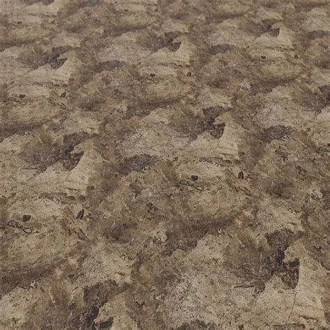 Free Brown Fossil Natural Stone Texture 666 - LotPixel