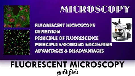 Fluorescence Microscopy Advantages And Disadvantages
