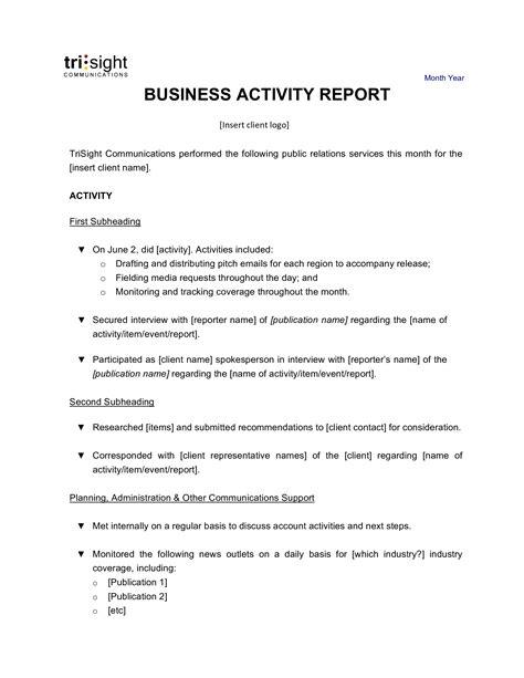 Business Activity Report Format Template