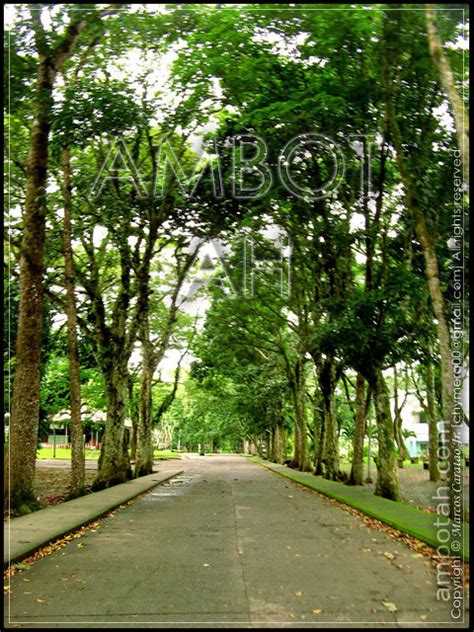 Tree-lined Street | Aklan State University | Banga Aklan, Ph… | Flickr