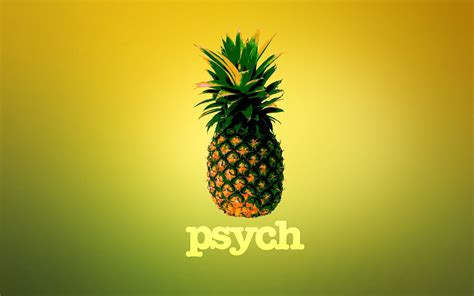 Psych Wallpaper (76+ pictures) - WallpaperSet