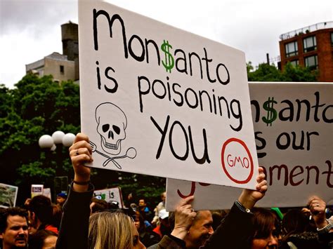 Monsanto's Communications Guru To Visit The UK: Instead Of Promoting GM, Take Responsibility For ...