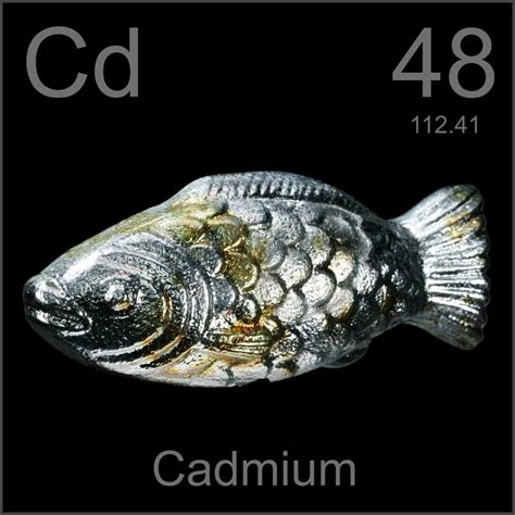 Fish, a sample of the element Cadmium in the Periodic Table