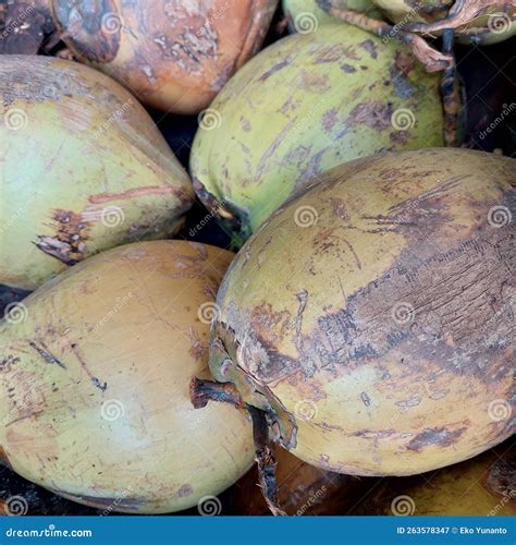 Coconut Fruit Has Many Health Benefits Stock Image - Image of tree, mushroom: 263578347