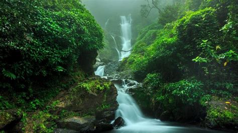 Waterfall in forest, Yanam, India | Windows 10 Spotlight Images ...