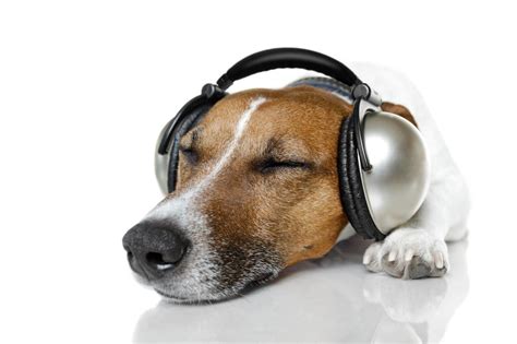 What's The Most Relaxing Song Ever? Help Us Make A Playlist ...