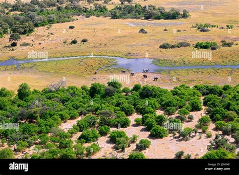 flood plain, Okavango delta, Botswana Stock Photo - Alamy